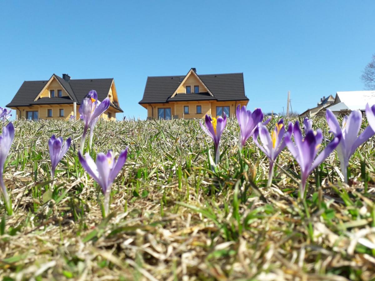 Witowianskie Domki Z Kominkiem, Jacuzzi I Sauna Dzianisz Eksteriør billede